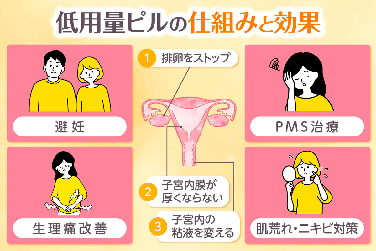 低用量ピルの特徴と仕組み